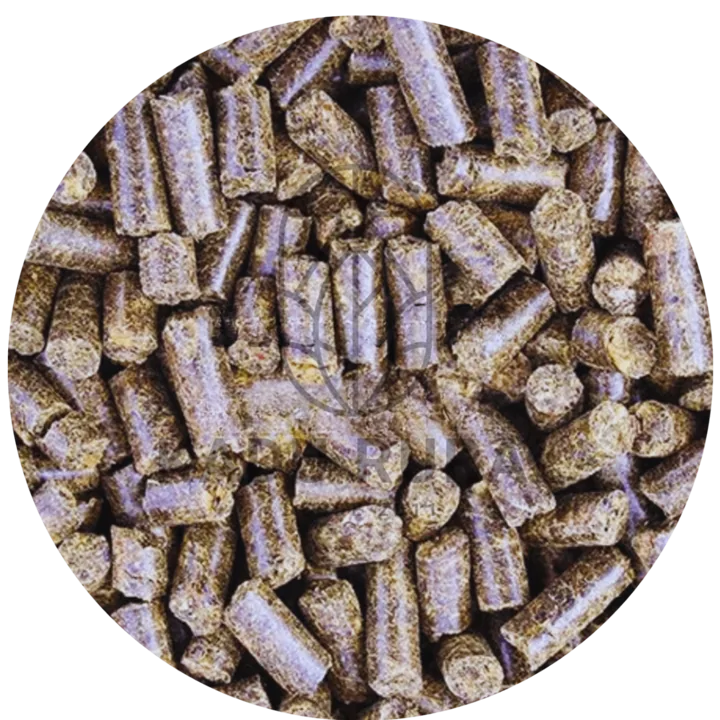 Polpa Cítrica